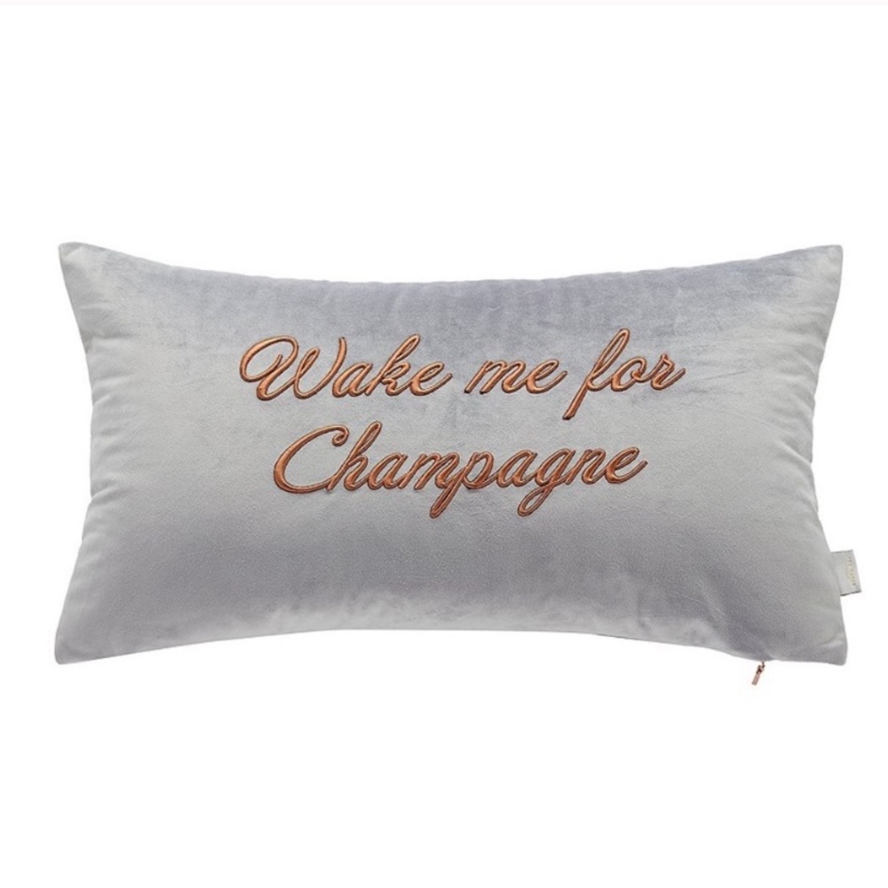 NWT Ted Baker Velvet Throw Pillow